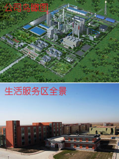 煤化工行业招聘特辑,呼伦贝尔金新化工有限公